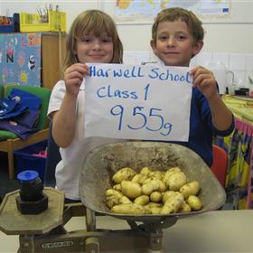 fwthumbpotatoes 2-7-13 001.jpg